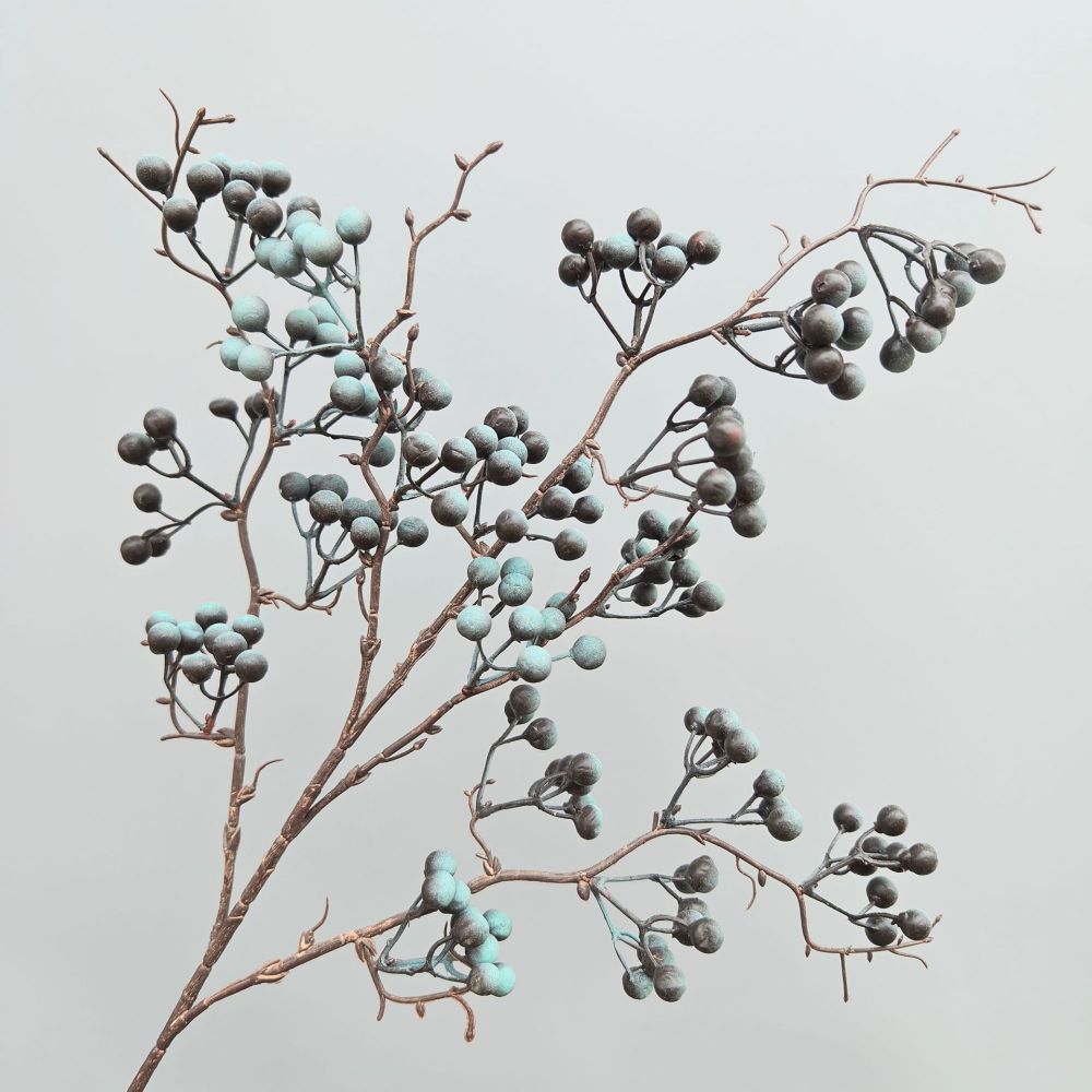 Decorative Simulation Berry Br - огляд і ціна Photography Simulator