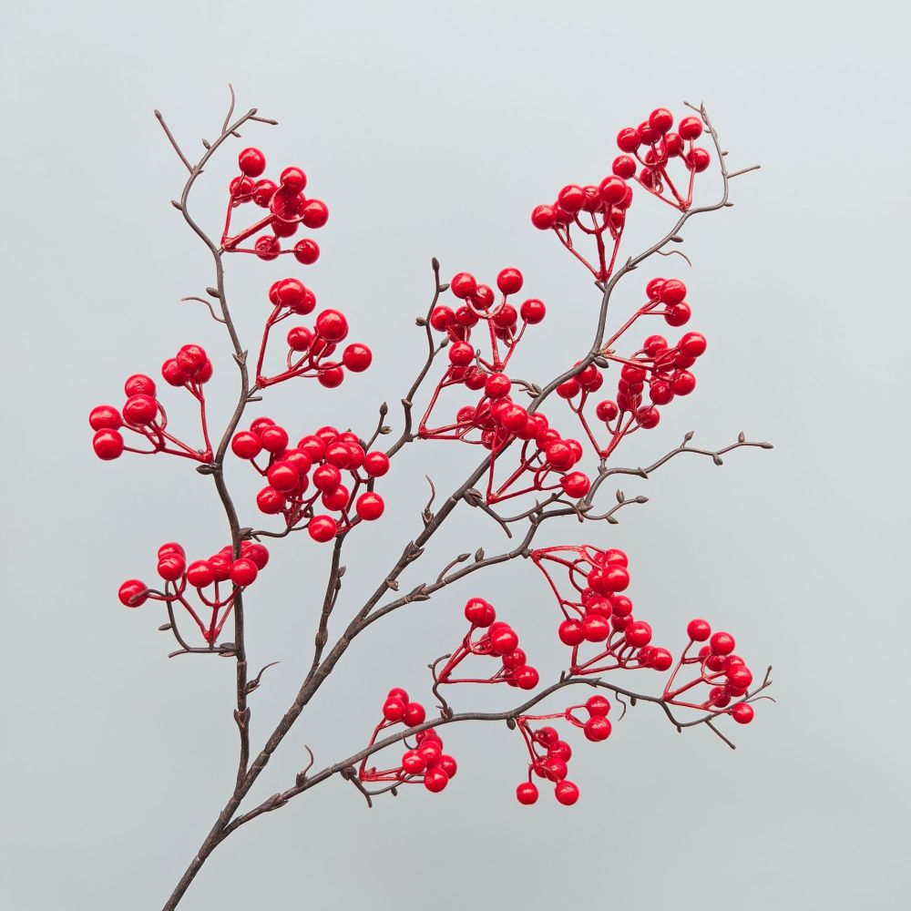 Decorative Simulation Berry Br - огляд і ціна Photography Simulator