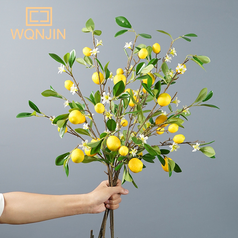 Lemon Branches With Fruit Simu - огляд і ціна Photography Simulator