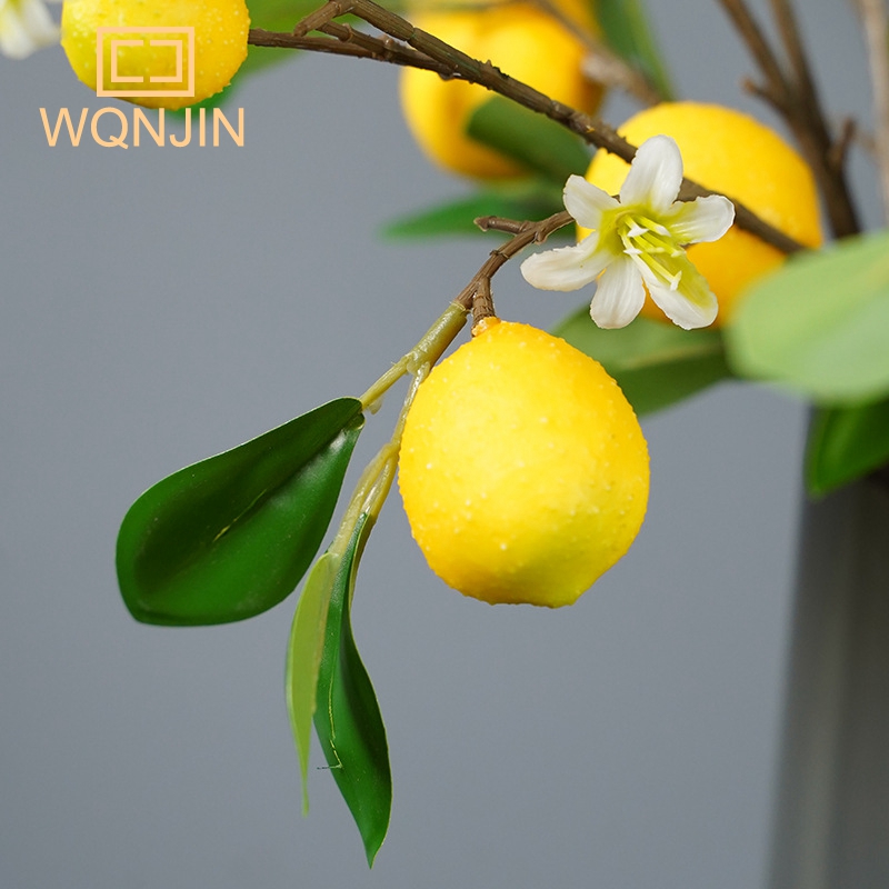 Lemon Branches With Fruit Simu - огляд і ціна Photography Simulator