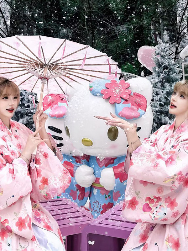 Traditional Japanese Kimono Ba - огляд і ціна Photography Online